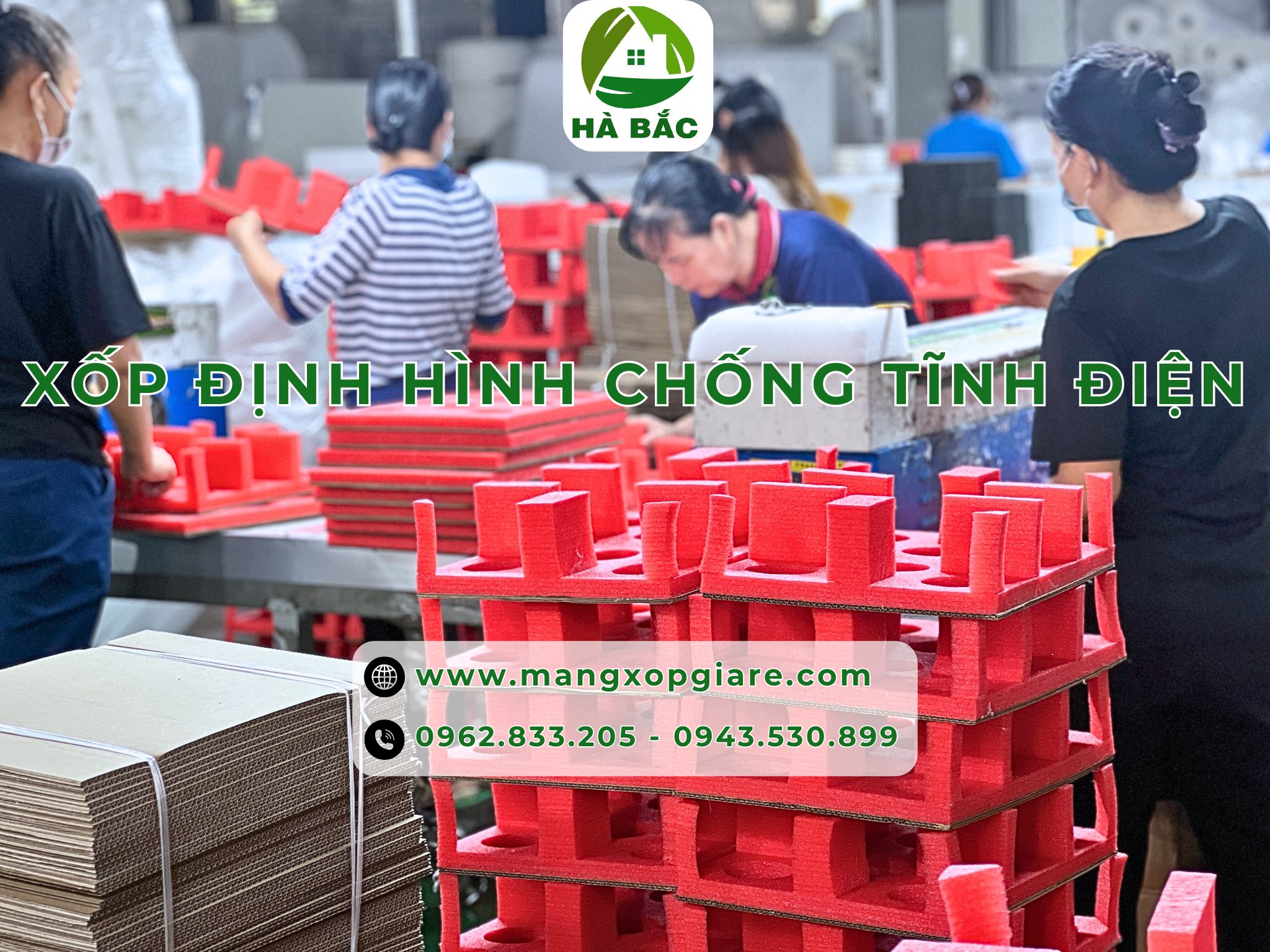xop-pe-foam-chong-tinh-dien xop-pe-foam-chong-tinh-dien