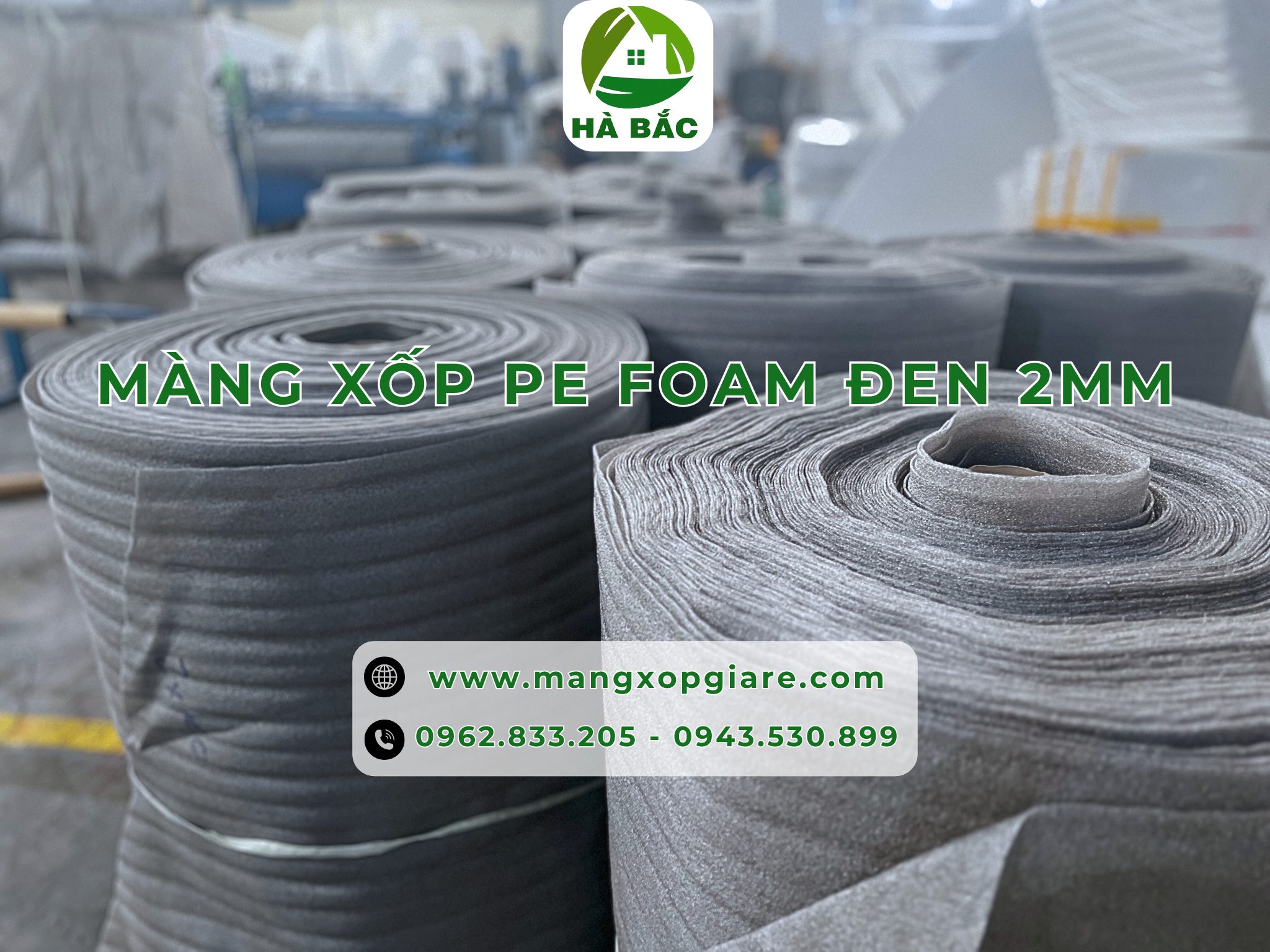mang-xop-pe-foam-den-2mm