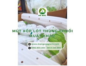 mut-xop-lot-thung-chuoi-xuat-khau