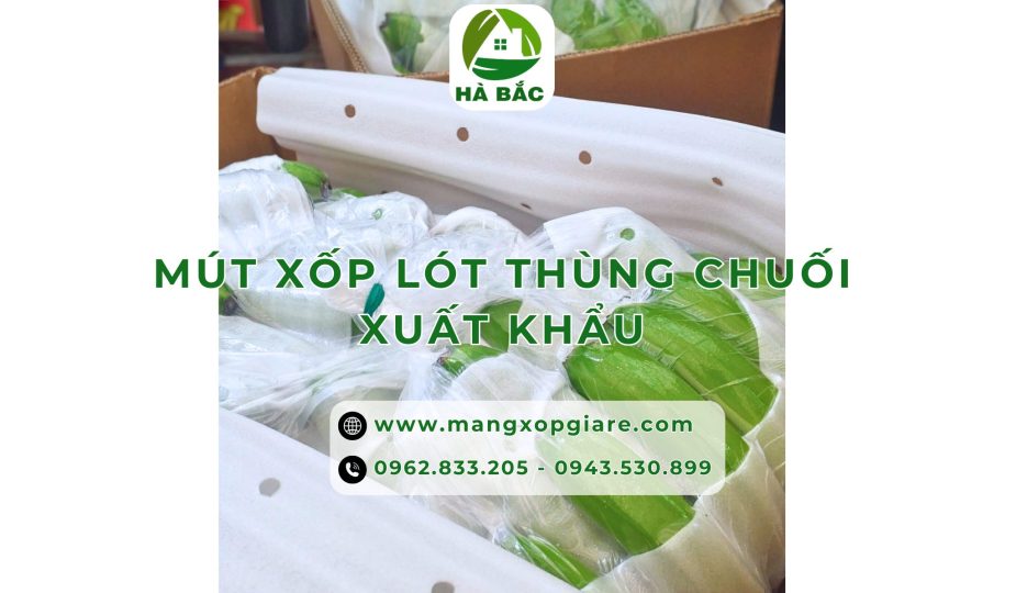 mut-xop-lot-thung-chuoi-xuat-khau
