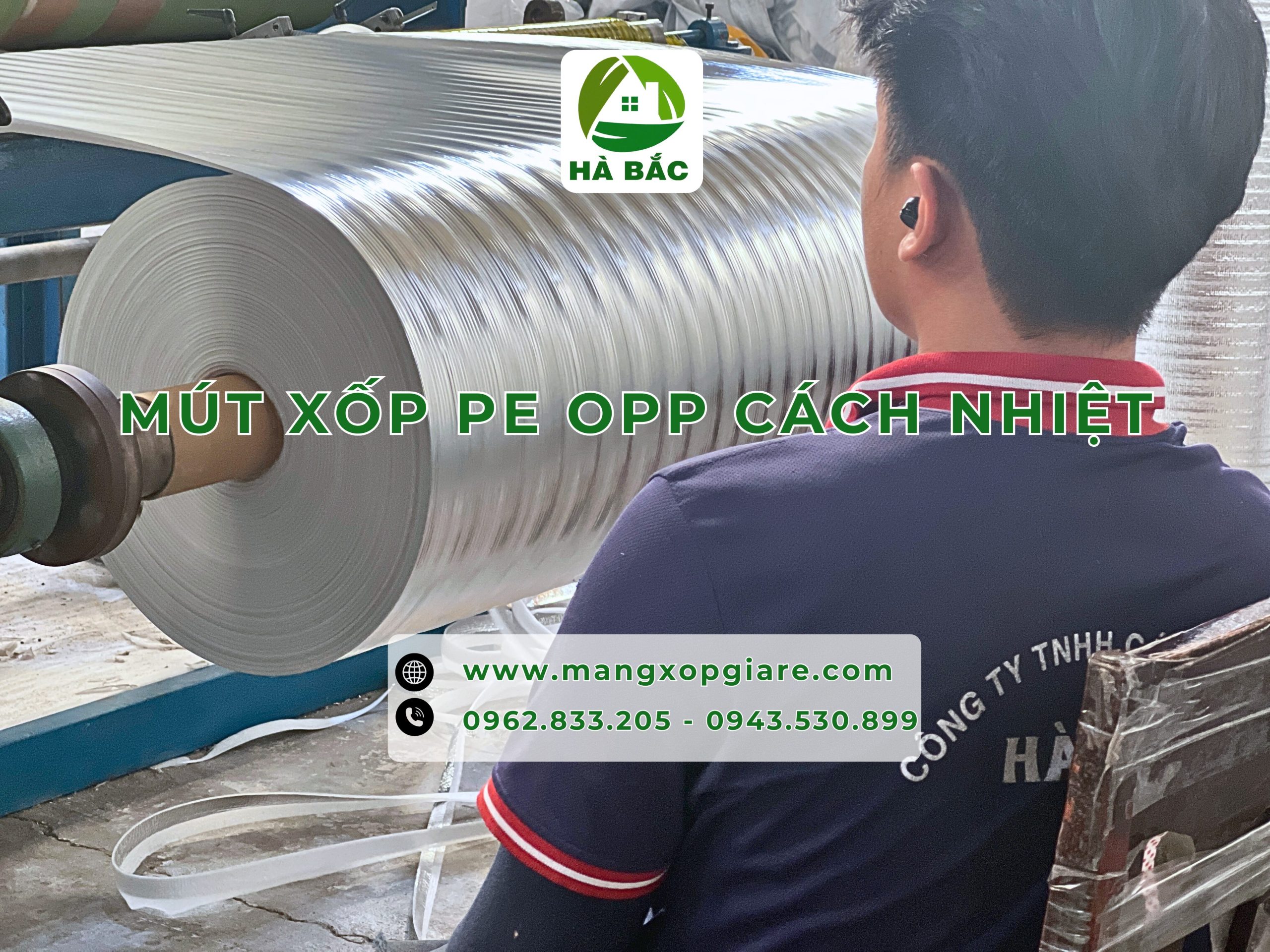 mut-xop-pe-opp mut-xop-pe-opp