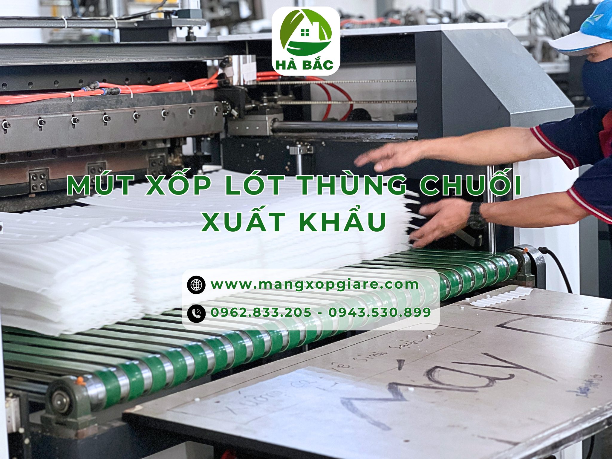 mut-xop-lot-thung-chuoi-xuat-khau
