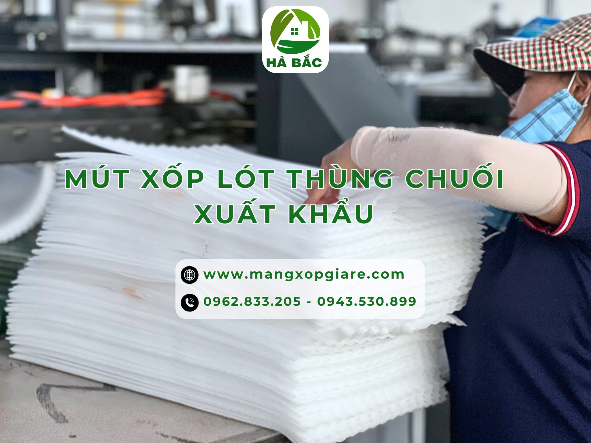 mut-xop-lot-thung-chuoi-xuat-khau