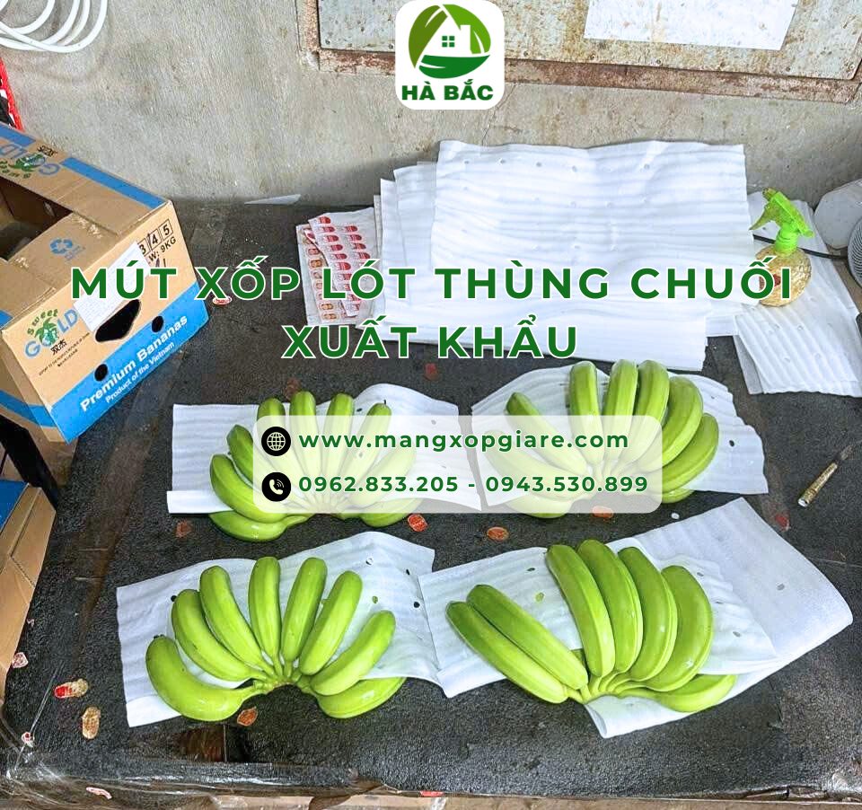 mut-xop-lot-thung-chuoi-xuat-khau
