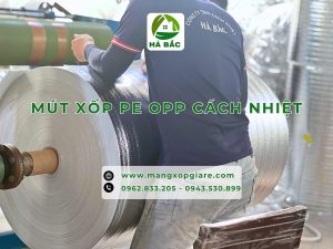 mut-xop-pe-opp