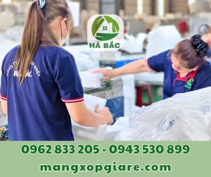 xop-boc-goc-pe-foam