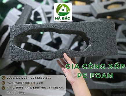 pe-foam-dinh-hinh-mau-den