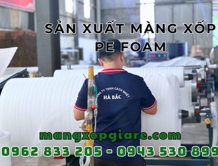 mang-xop-pe-foam-3mm