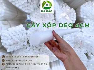 cay-xop-deo-4cm