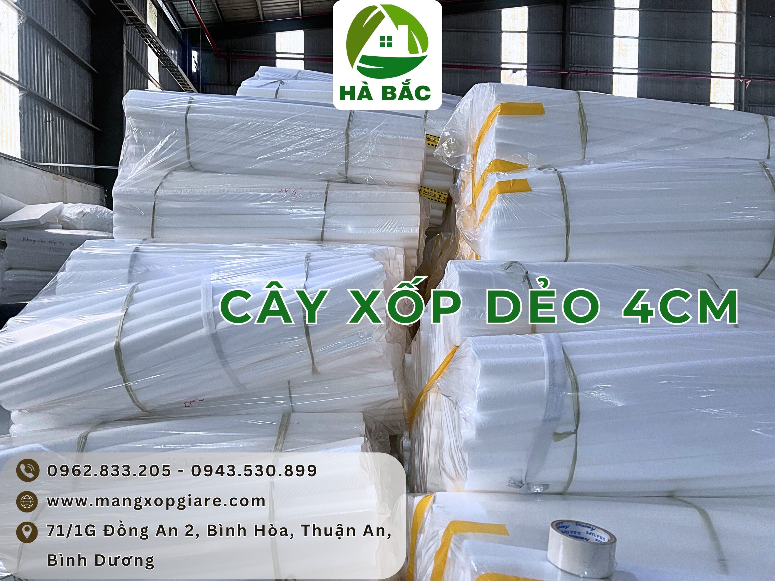 cay-xop-deo-4cm cay-xop-deo-4cm