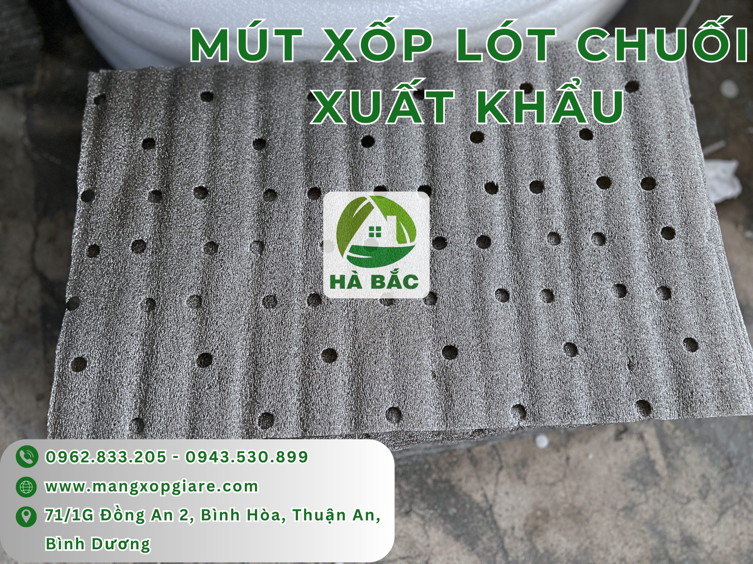 mut-xop-dong-goi-chuoi-xuat-khau mut-xop-dong-goi-chuoi-xuat-khau