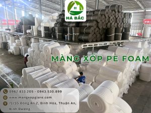 mut-xop-pe-foam-mau-den