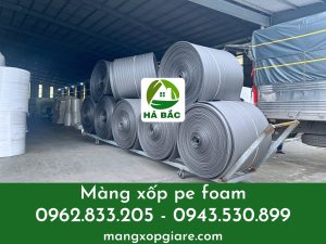 pe-foam-den-day-5mm