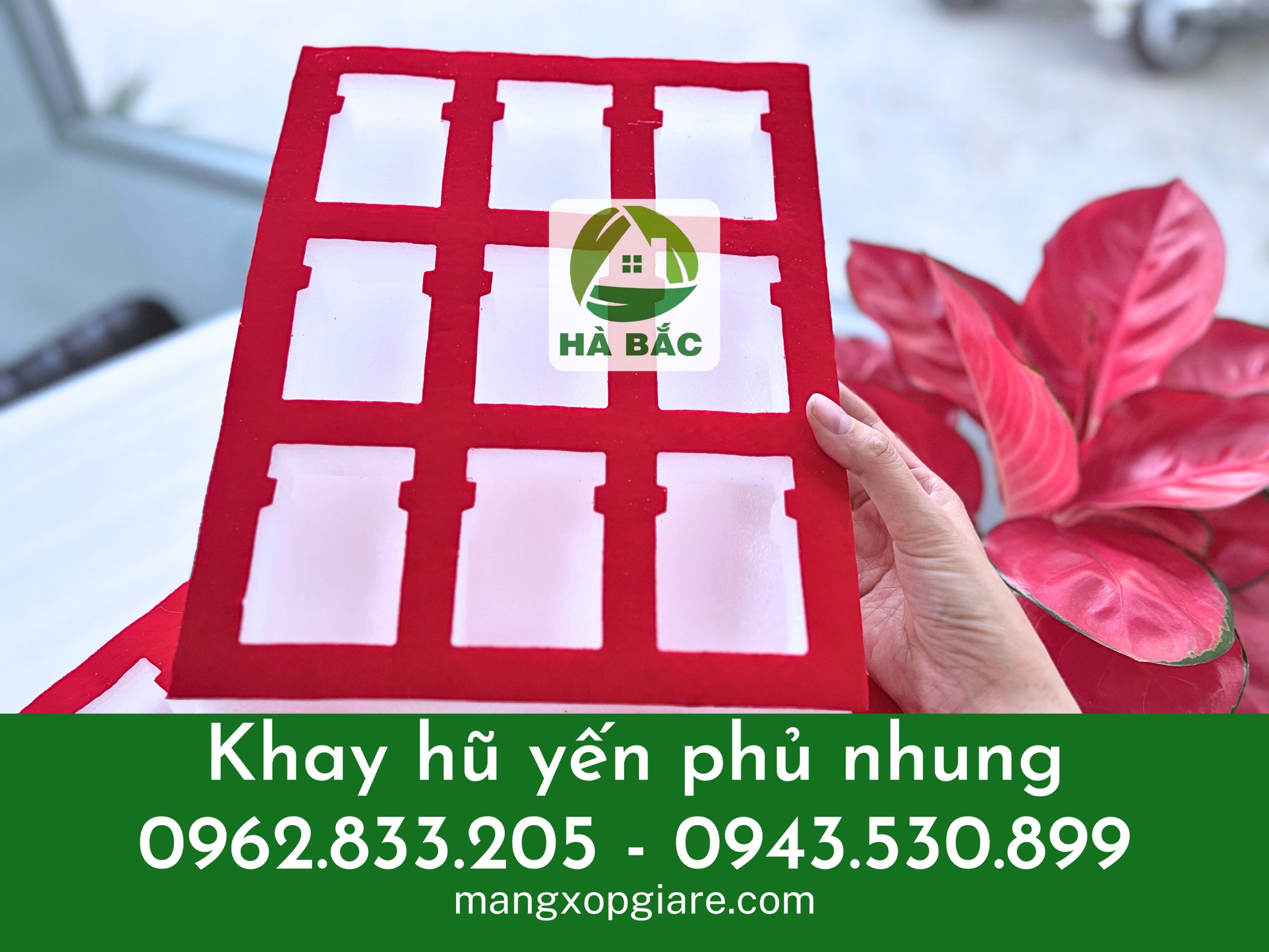 khay-xop-hu-yen-phu-nhung