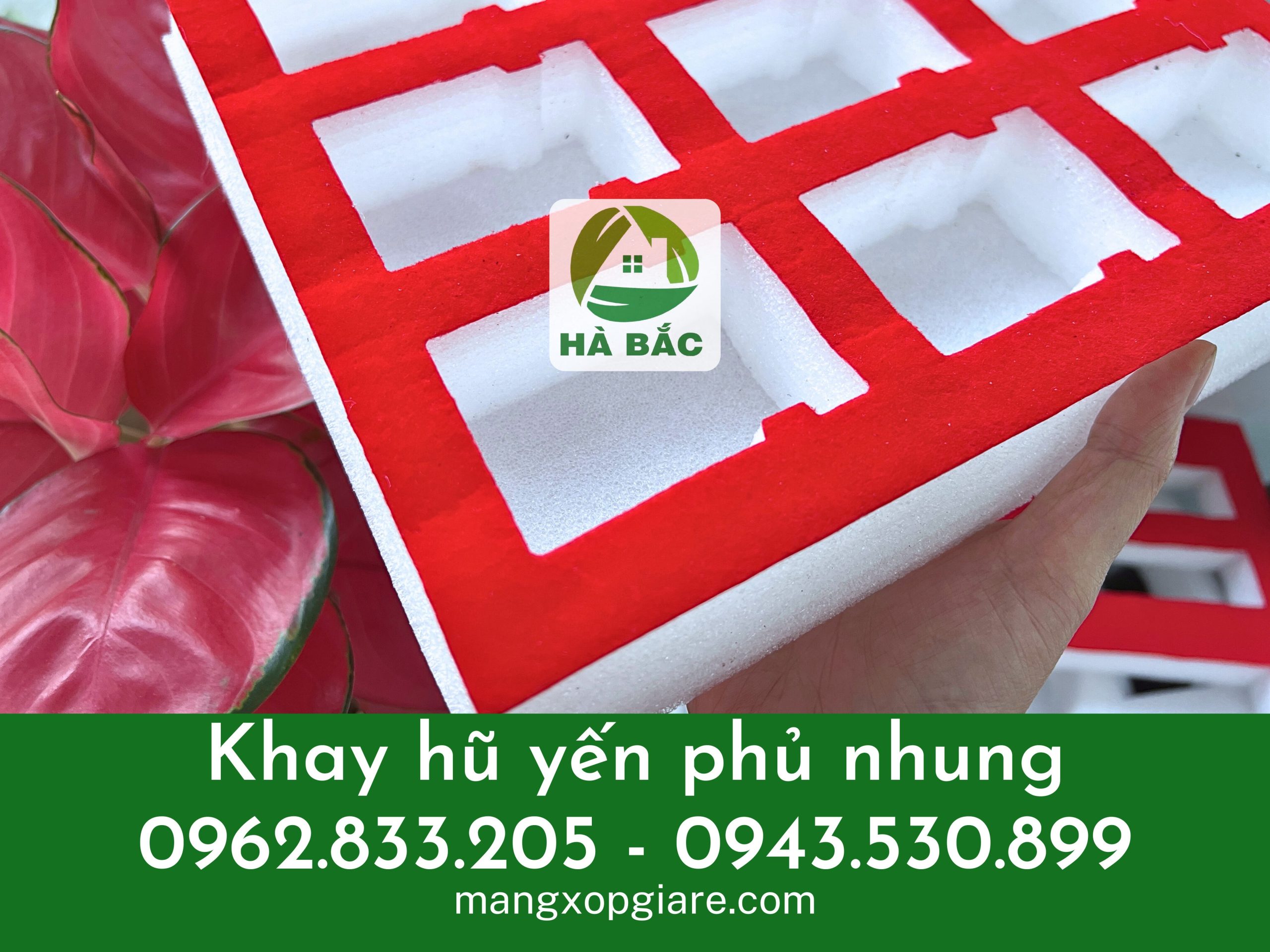 khay-xop-hu-yen-phu-nhung