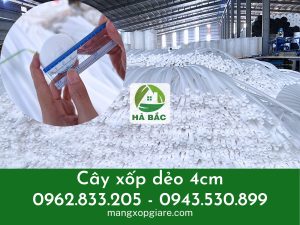 xop-cay-cam-hoa-sap