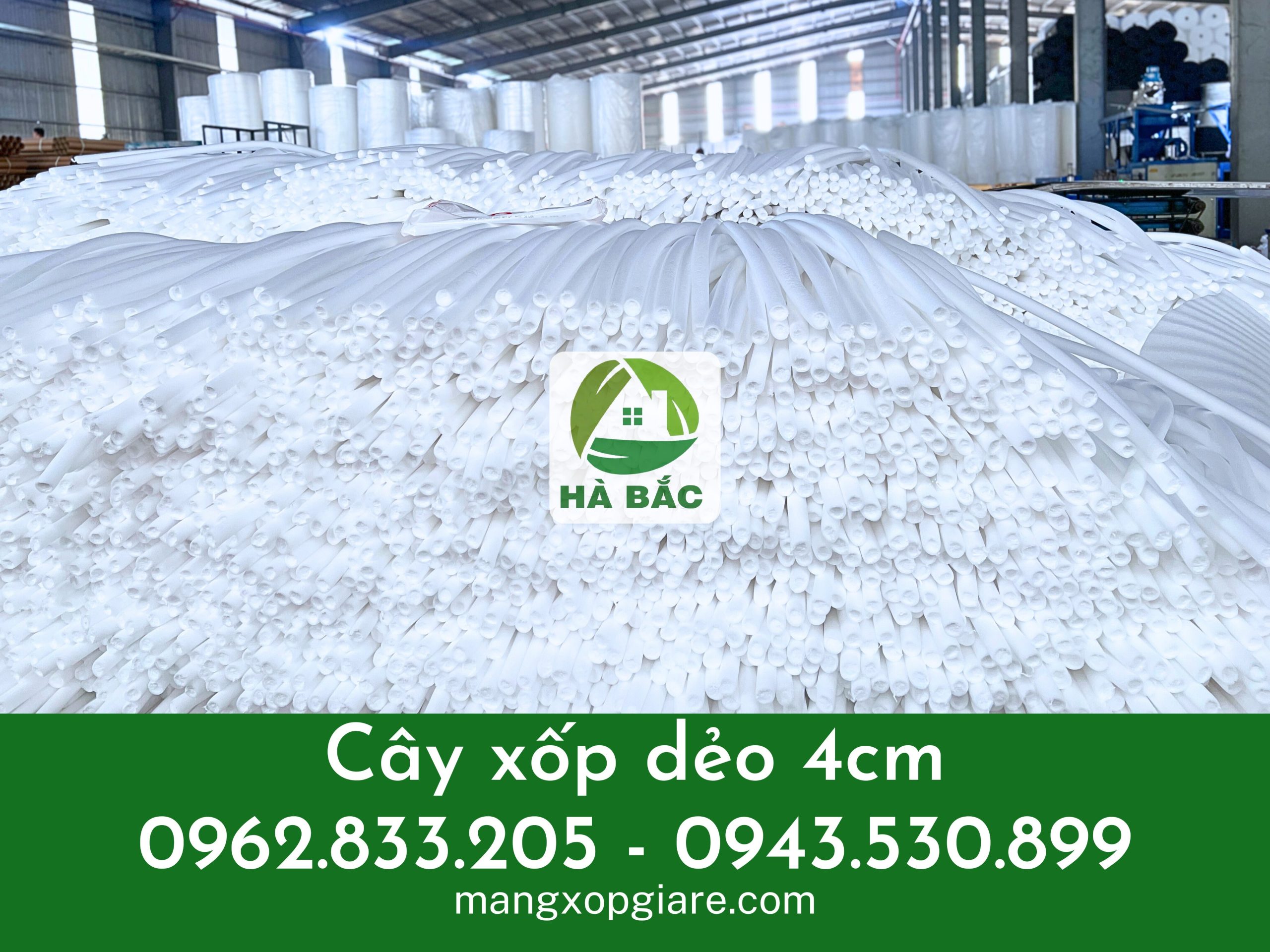 xop-cay-cam-hoa-sap xop-cay-cam-hoa-sap