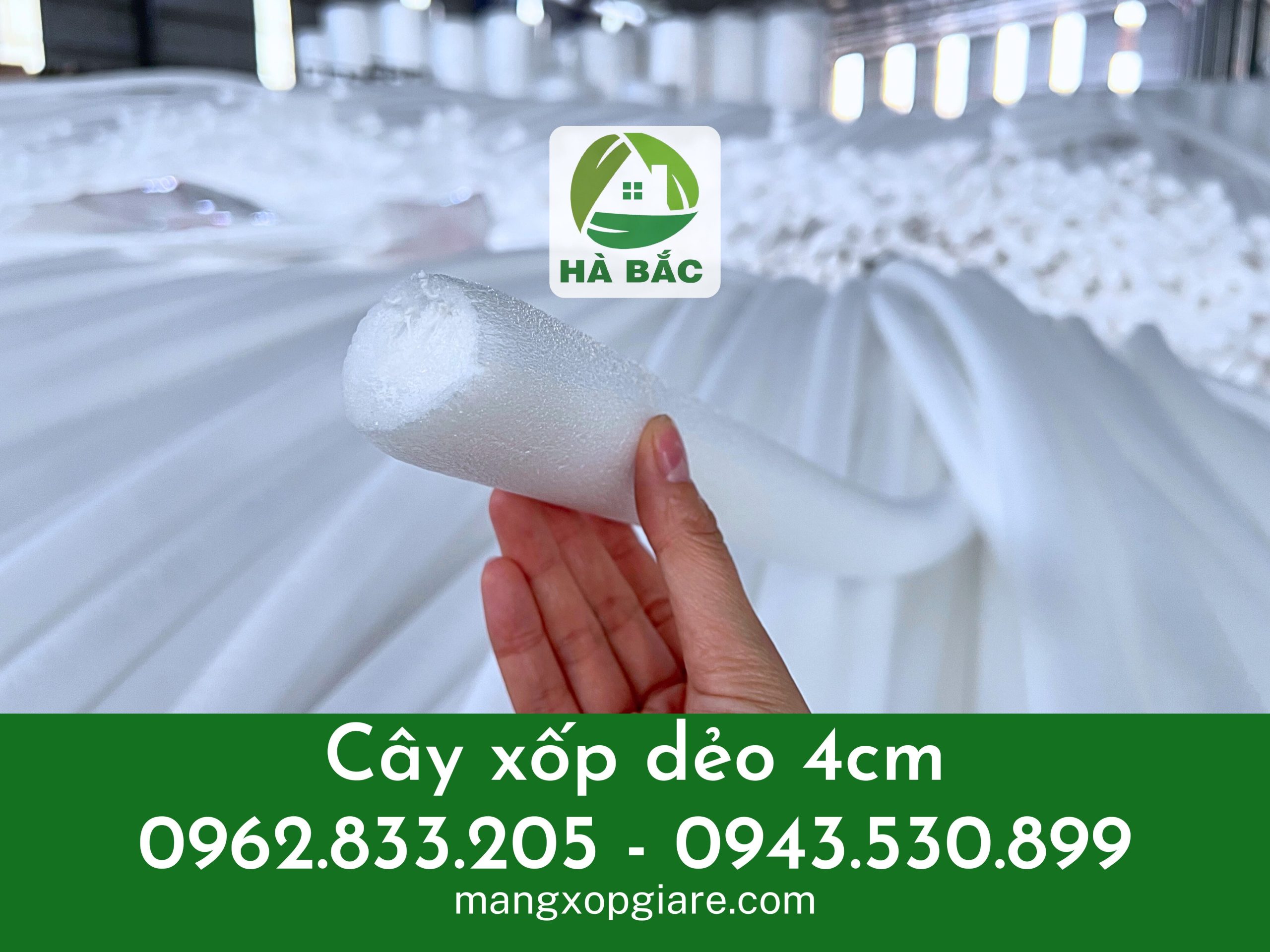 xop-cay-cam-hoa-sap xop-cay-cam-hoa-sap