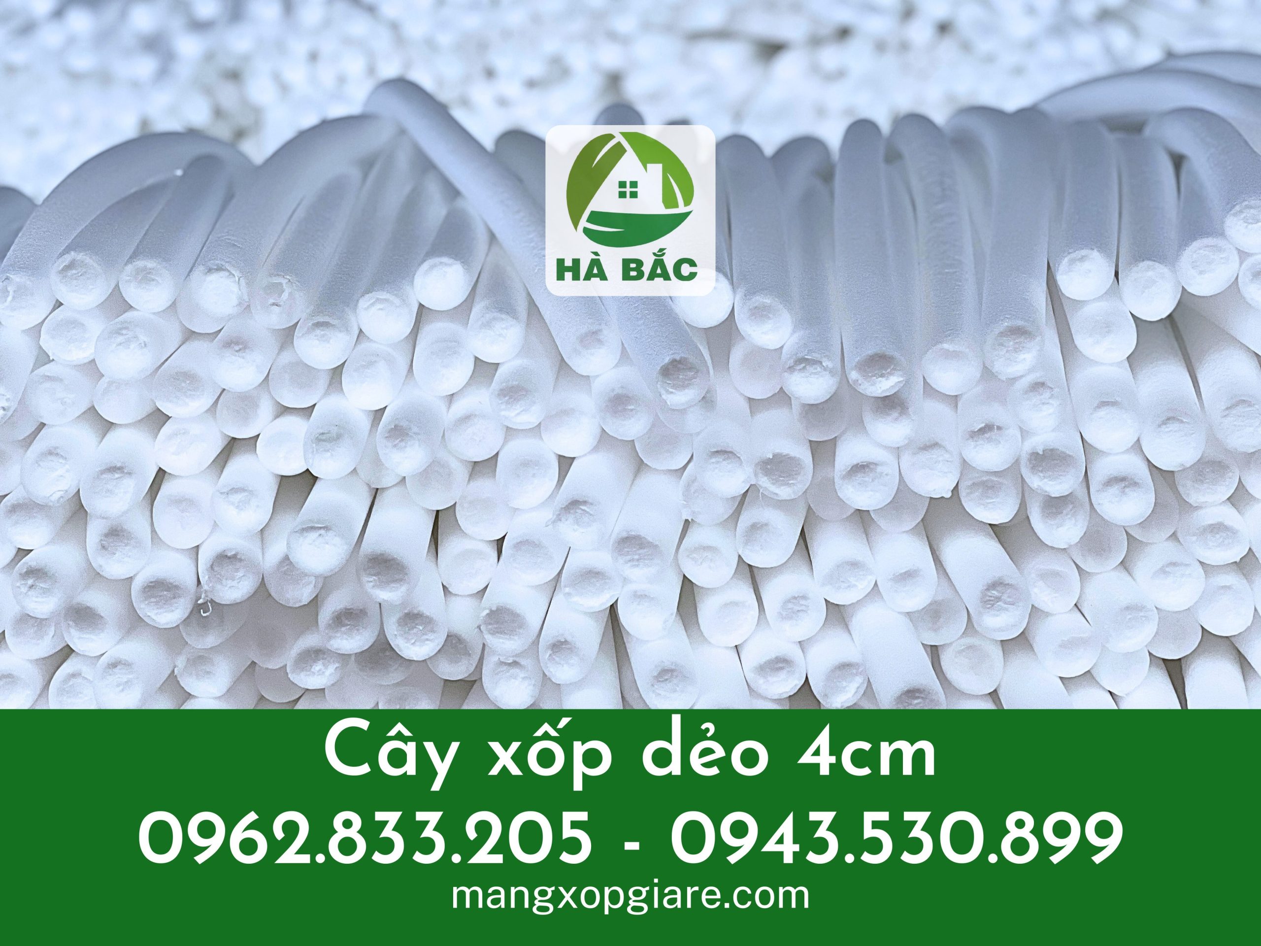 xop-cay-cam-hoa-sap xop-cay-cam-hoa-sap