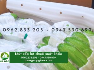 mút lót chuối