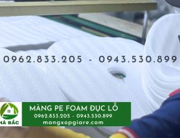 Màng xốp PE foam đóng gói xuất khẩu chuối