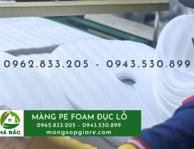 Màng xốp PE foam đóng gói xuất khẩu chuối