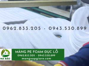 Màng xốp PE foam đóng gói xuất khẩu chuối