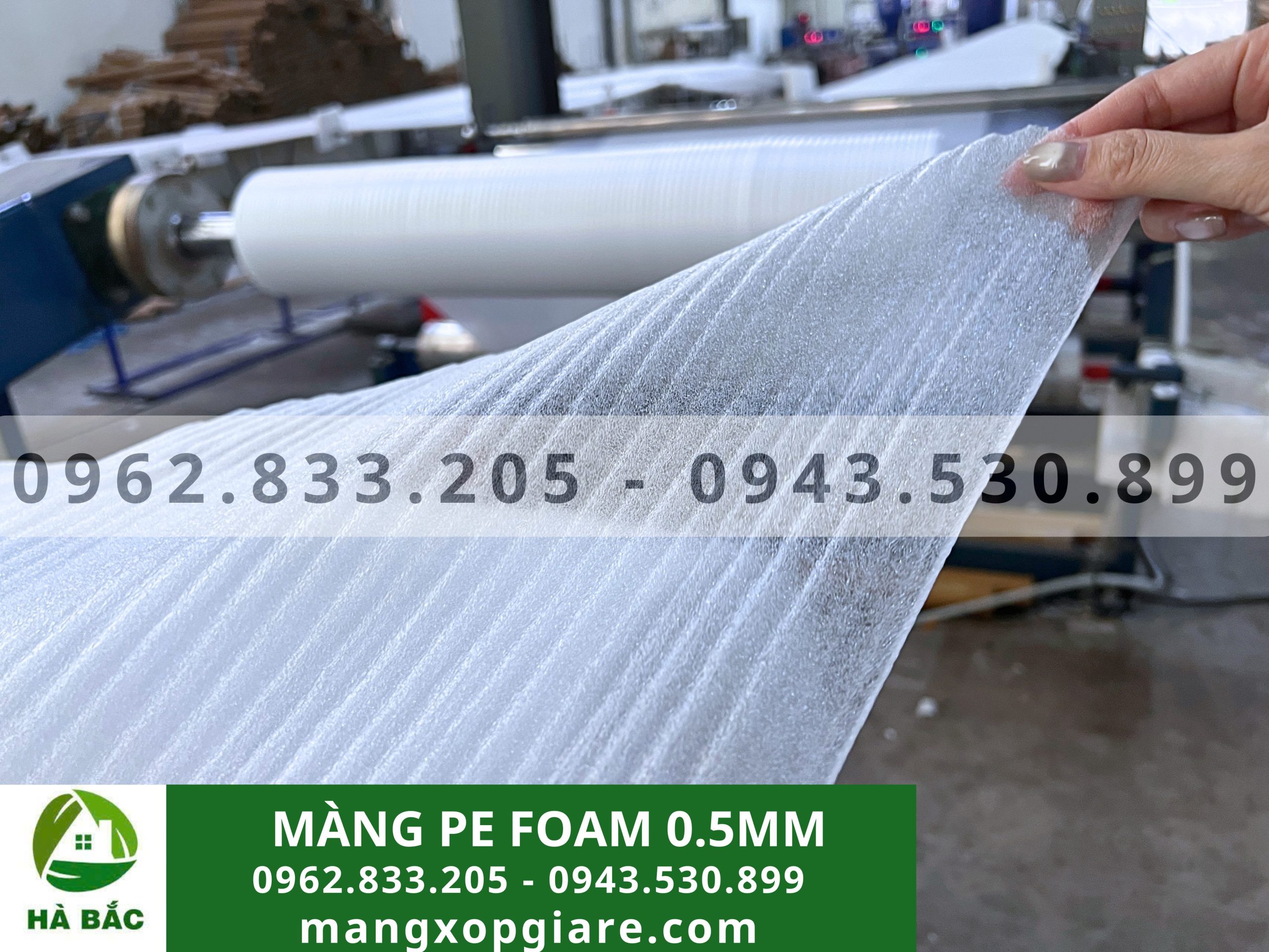 màng pe foam 0.5mm