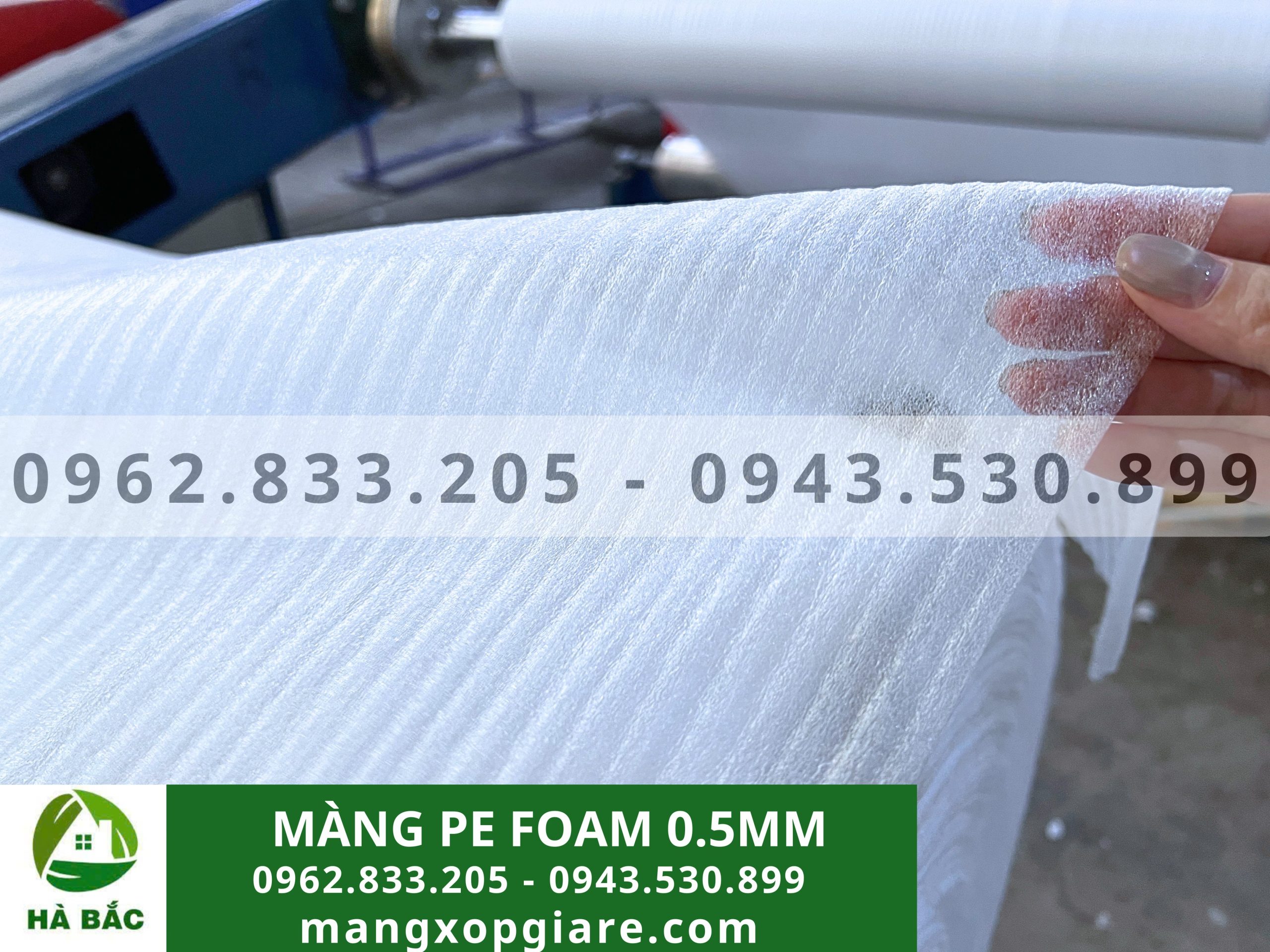 màng pe foam 0.5mm