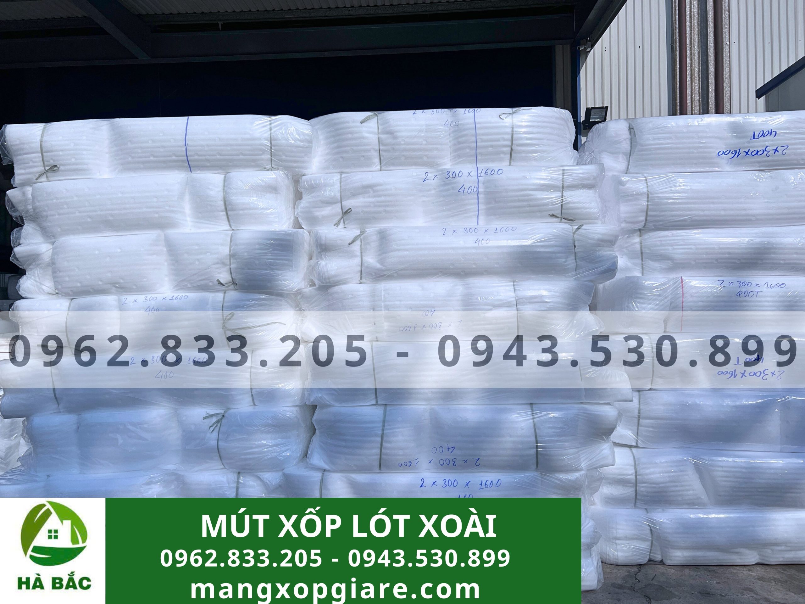 Tấm xốp đục lỗ lót xoài 2mm