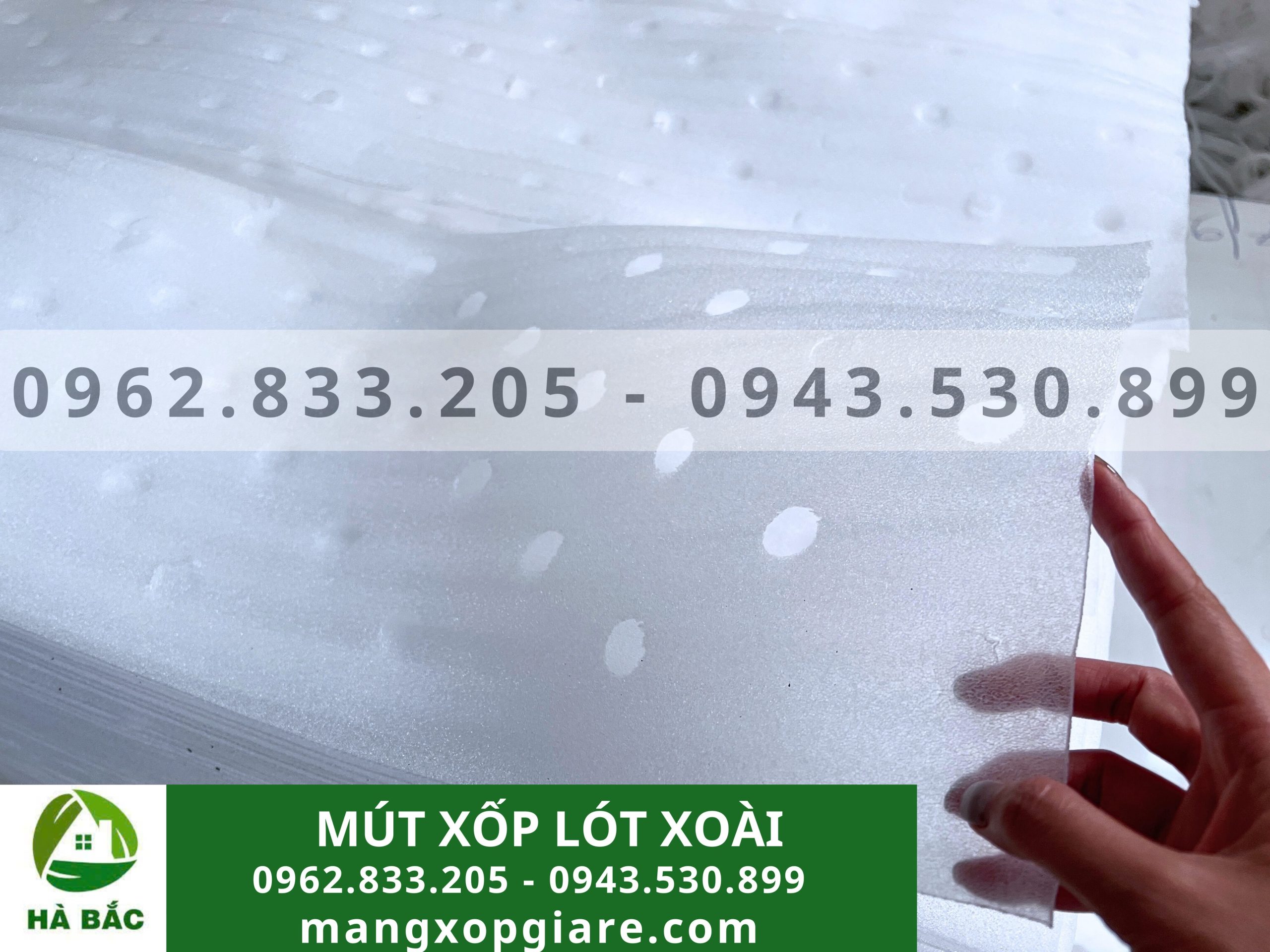 Tấm xốp đục lỗ lót xoài 2mm