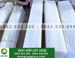 Tấm xốp đục lỗ lót xoài 2mm