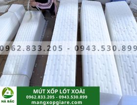 Tấm xốp đục lỗ lót xoài 2mm