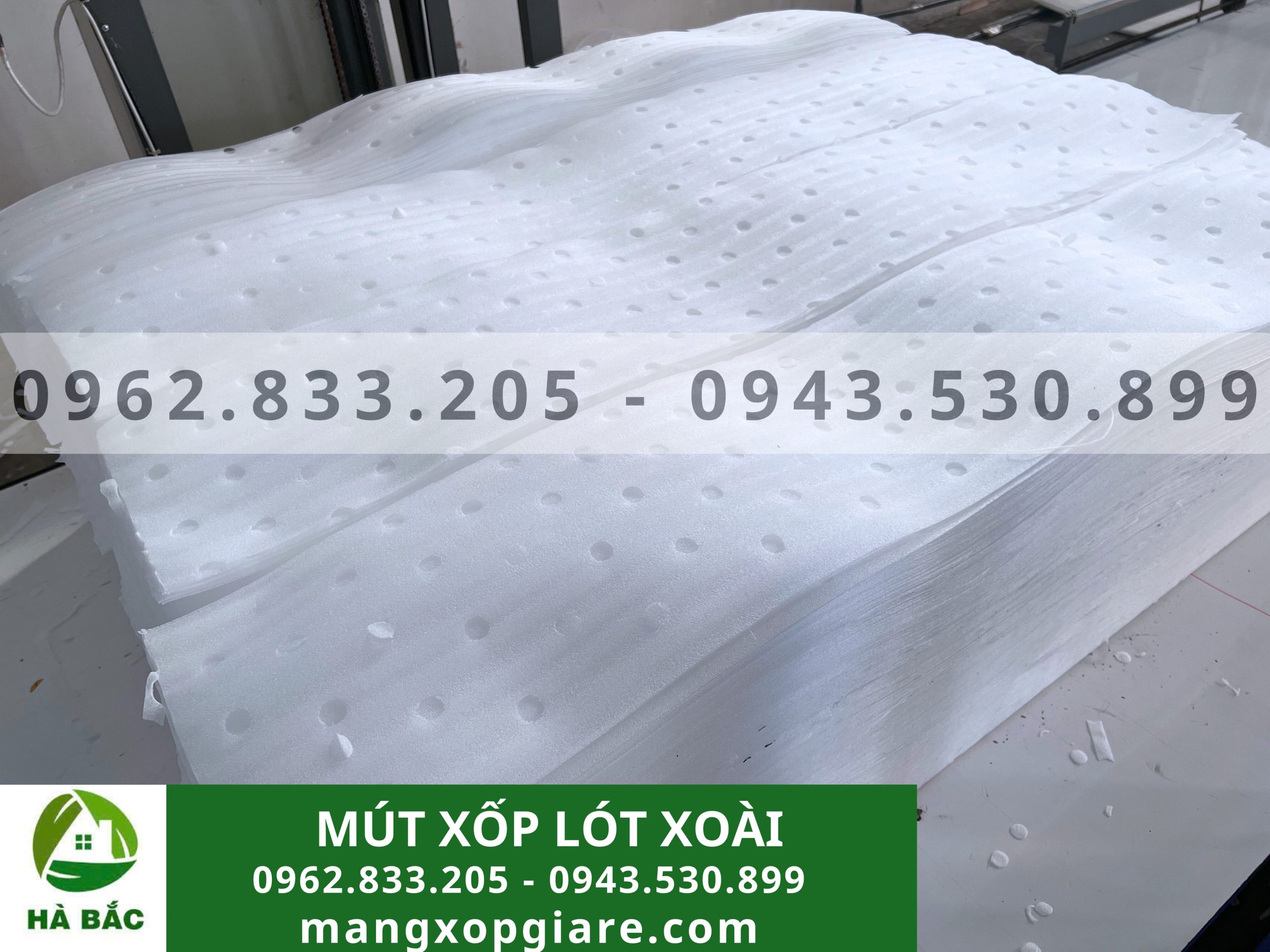 Tấm xốp đục lỗ lót xoài 2mm