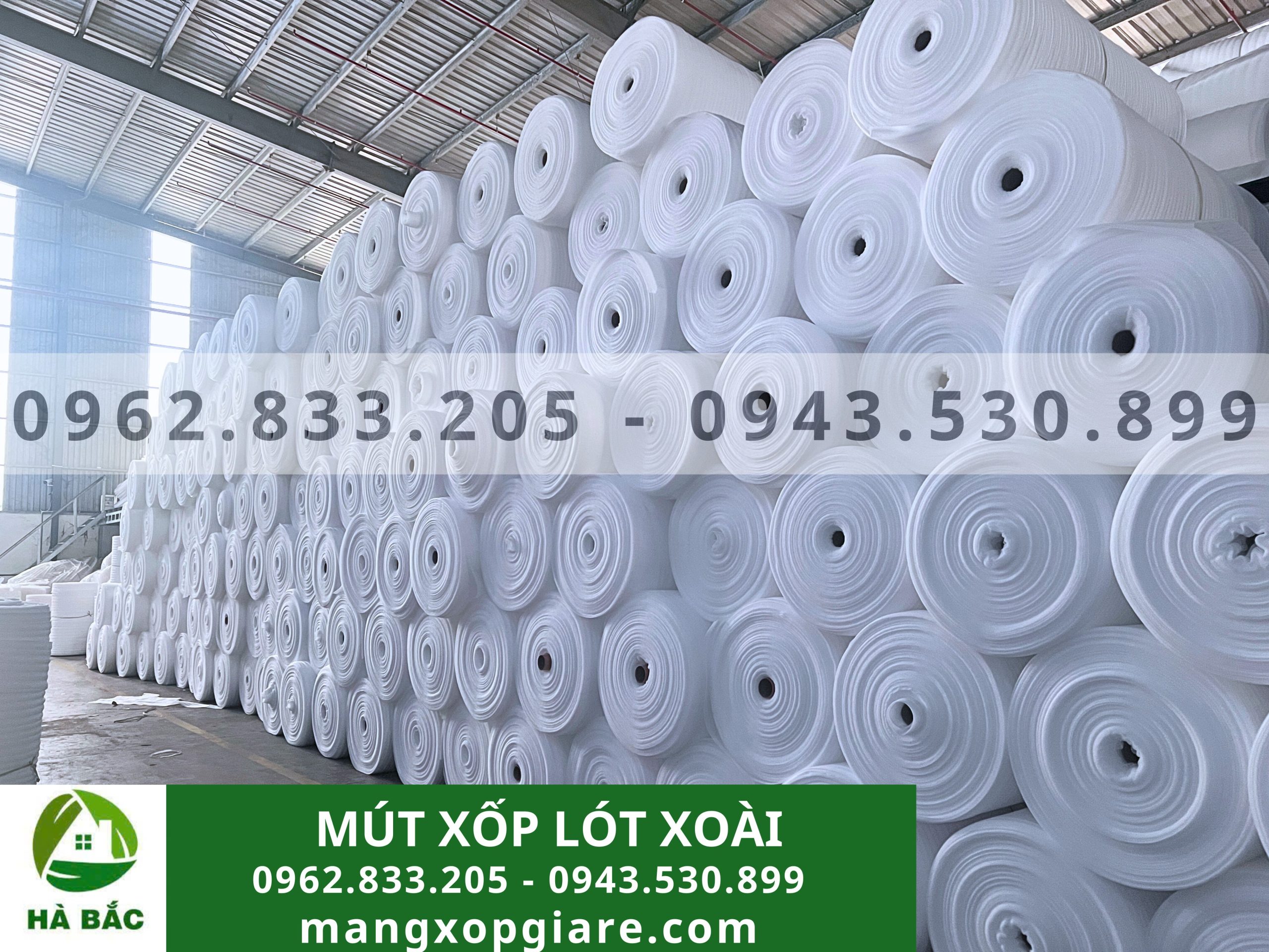 Tấm xốp đục lỗ lót xoài 2mm