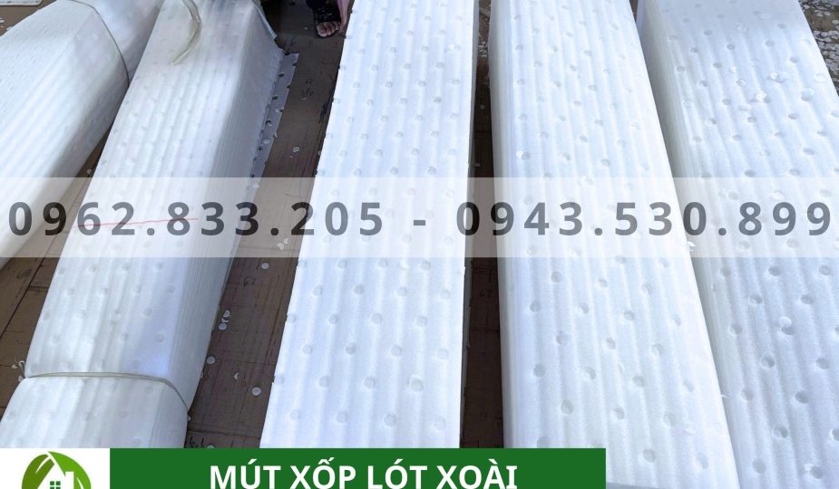 Tấm xốp đục lỗ lót xoài 2mm