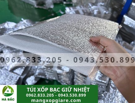 Túi xốp bạc giữ nhiệt gần đây