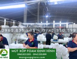 Mút xốp foam định hình