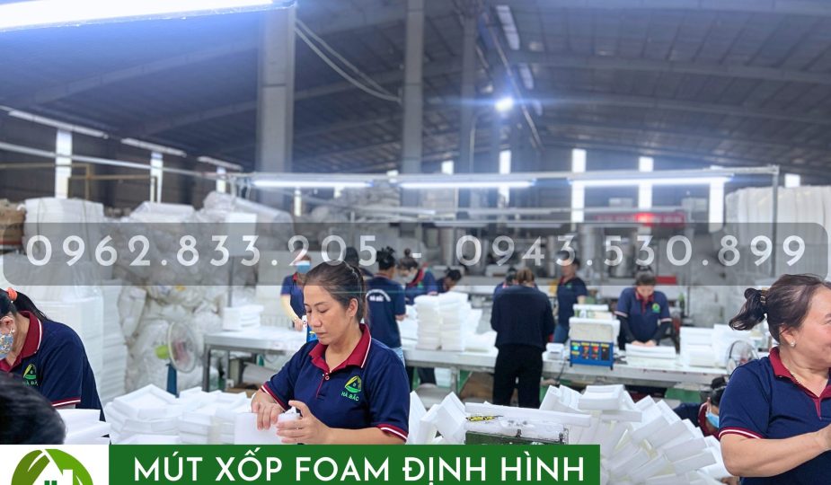 Mút xốp foam định hình
