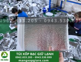 Túi xốp bạc giữ lạnh