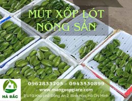 mút xốp lót chuối xuất khẩu