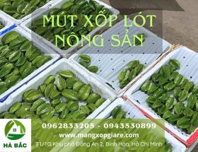 mút xốp lót chuối xuất khẩu