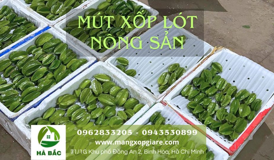 mút xốp lót chuối xuất khẩu