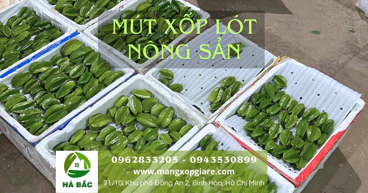 mút xốp lót chuối xuất khẩu