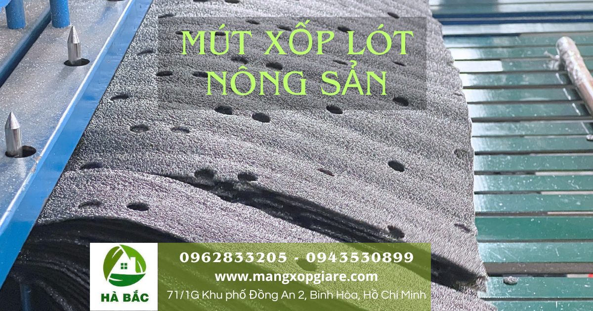 mút xốp lót chuối xuất khẩu