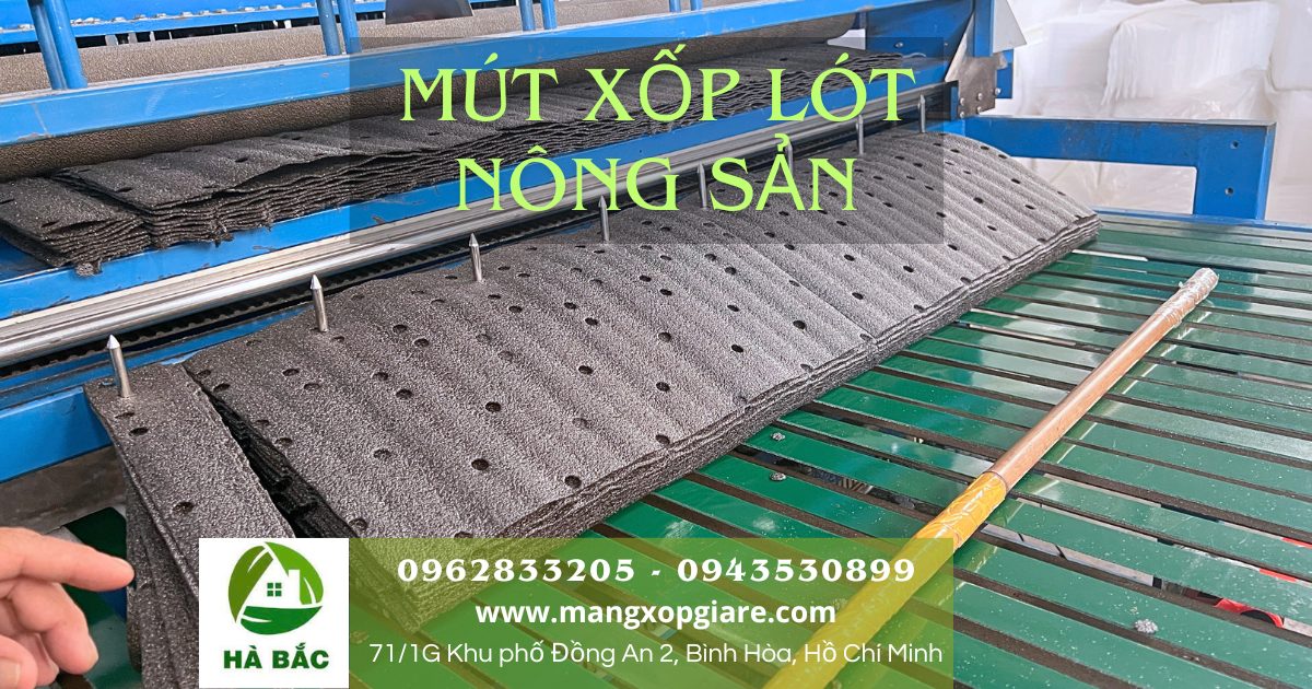 mút xốp lót chuối xuất khẩu
