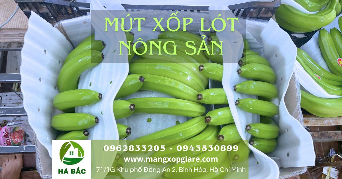 mút xốp lót chuối xuất khẩu