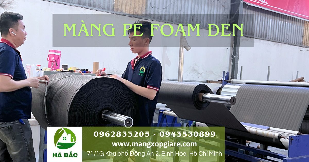 Màng xốp pe foam đen