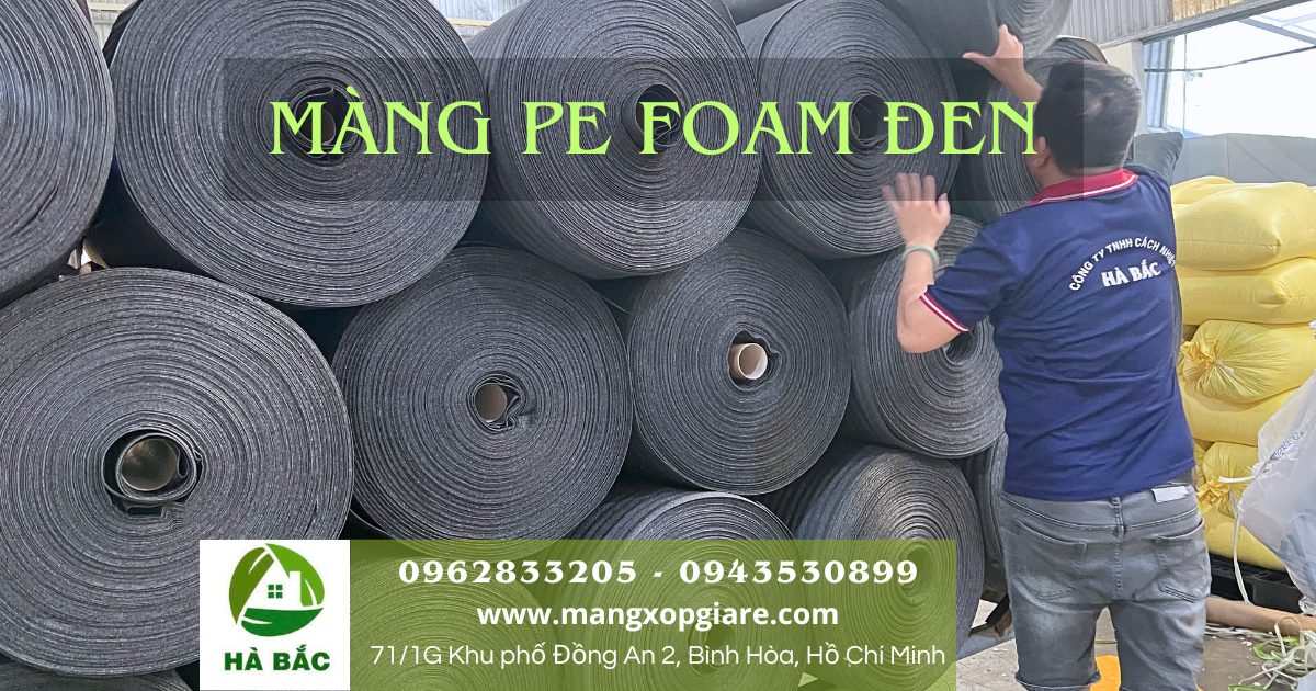 Màng xốp pe foam đen