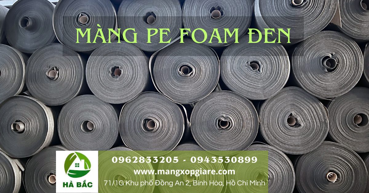 Màng xốp pe foam đen